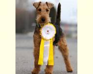 Epafos Floda Welsh