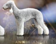 Annie Angel Bohemia Opus
