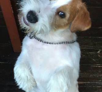 Nazareth Via Heraltisz