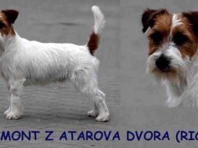 Vermont z Atarova dvora