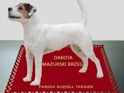 Dakota Mazurski Brzeg