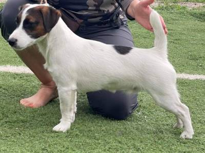 Zip od Bobří řeky