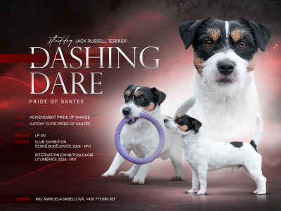Dashing Dare Pride of Santee