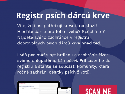 Psí dárce krve