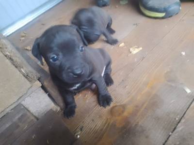 Vrh C Pod Skalskou věží