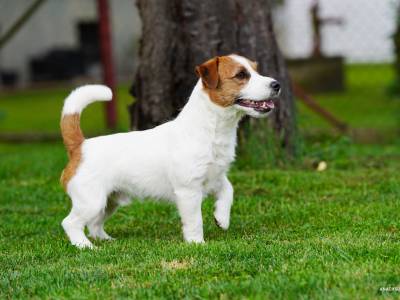 Vision Beautiful Onix