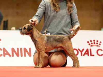 Flint zpod Chlumských hájů