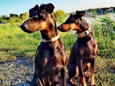 Vrh S ze Zámecké zahrady