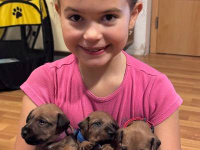 Vrh D Irish avalanche