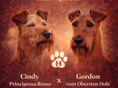 Vrh E Principessa Rosso