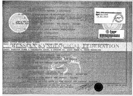 No Copyright Who Else