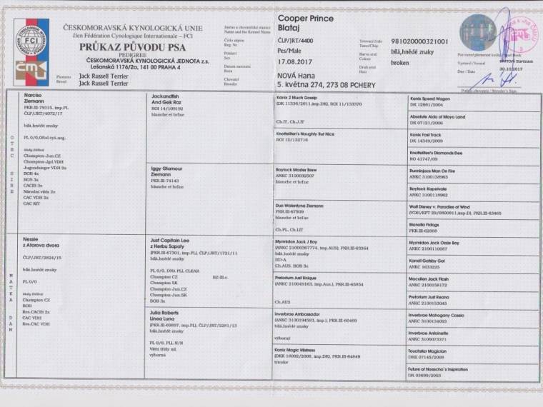 Cooper Prince Blataj