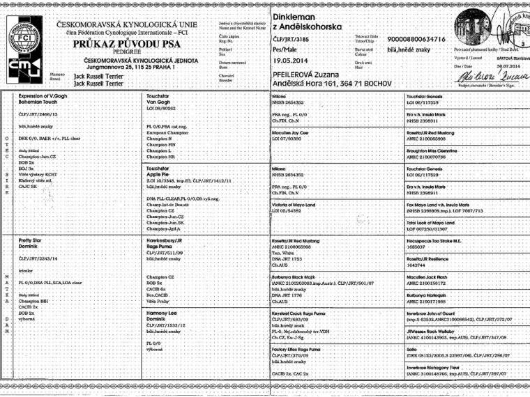 Dinkleman z Andělskohorska
