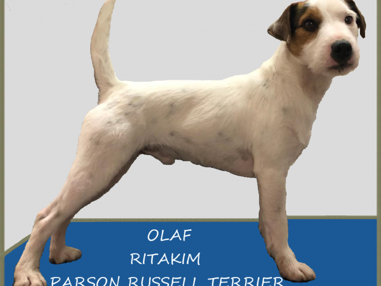 Olaf Ritakim