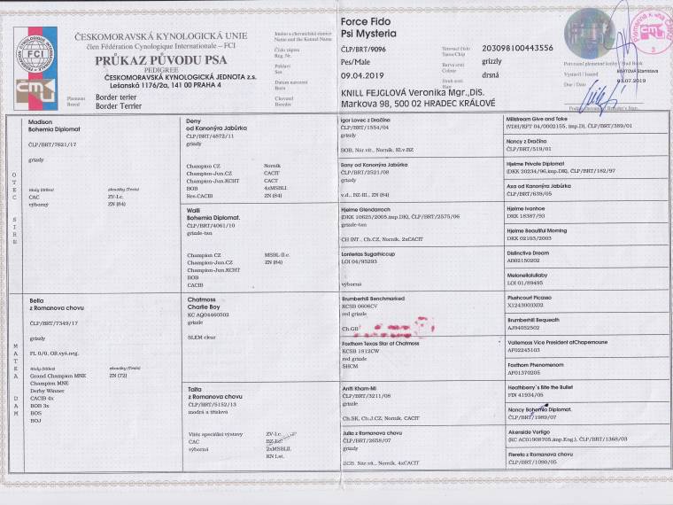 Force Fido Psi Mysteria