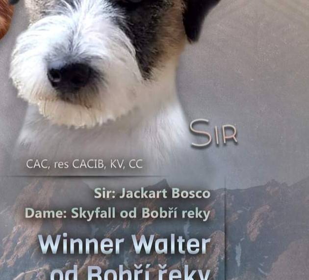 Winner Walter od Bobří řeky