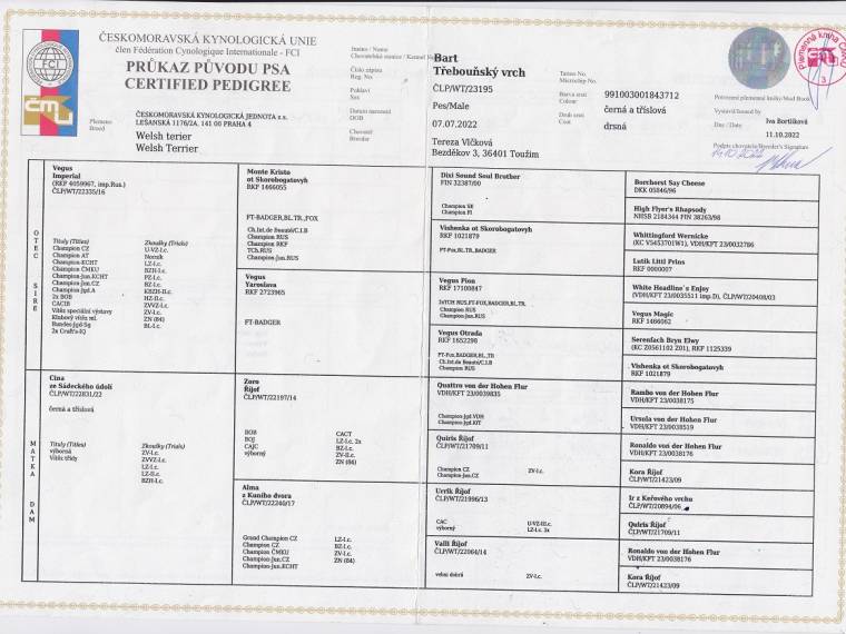 Bart Třebouňský vrch