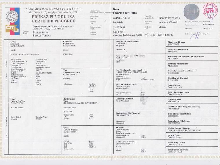 Ron Lovec z Dračína