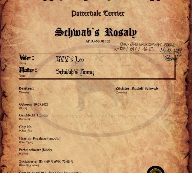 Vrh C Pod Skalskou věží