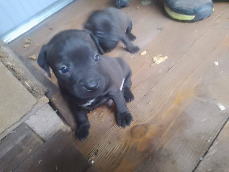 Vrh C Pod Skalskou věží