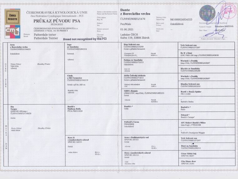 Vrh C Pod Skalskou věží