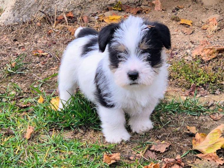 Vrh CH od Vrchu Kamýk