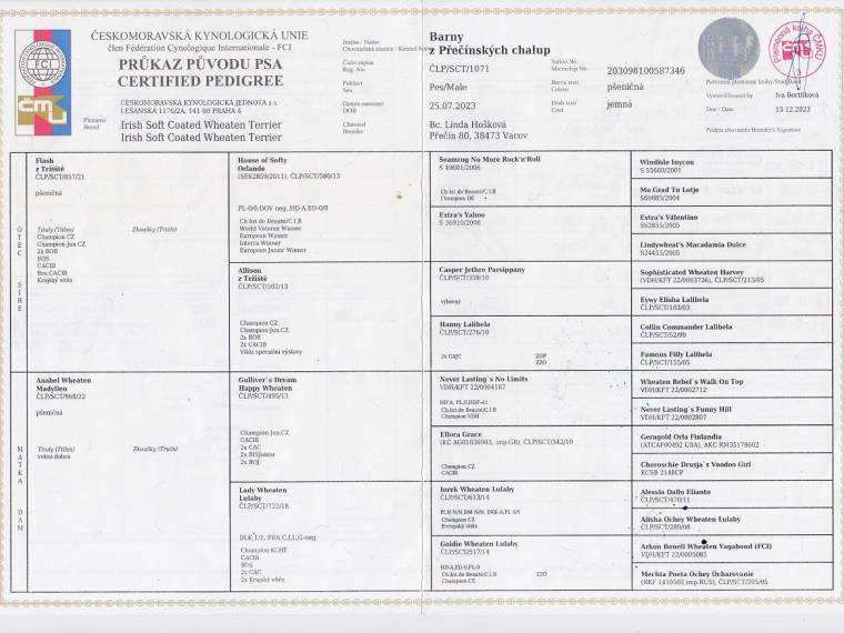 Barny z Přečínských chalup