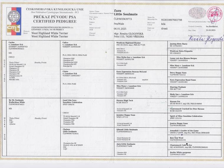 Zazu Little Soulmate