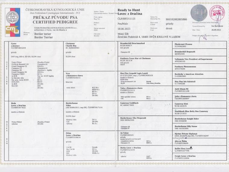 Ready to Hunt Lovec z Dračína