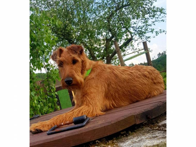 Felicita Fany z Kavčího hnízda
