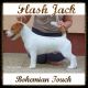 Flash Jack Bohemian Touch