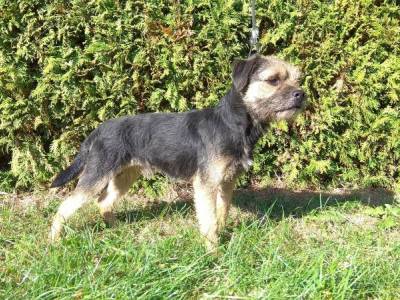 Aramis in Token of Unicorn