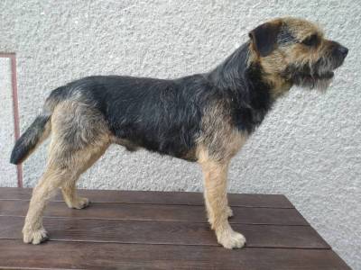 Argo Hunters of Diana