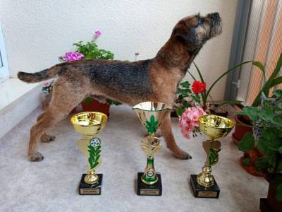 Aron z Hájecké stráně