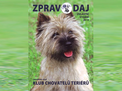 Zvláštní v. 2/2019