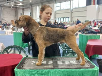 Edwin zpod Chlumských hájů