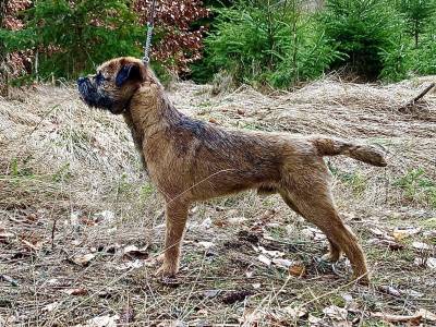 Axtoca's Nothing Else Matters