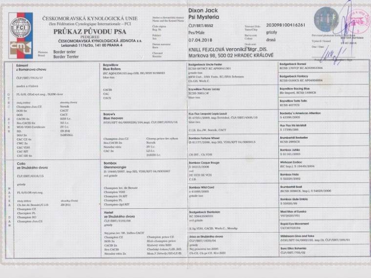 Dixon Jack Psi Mysteria