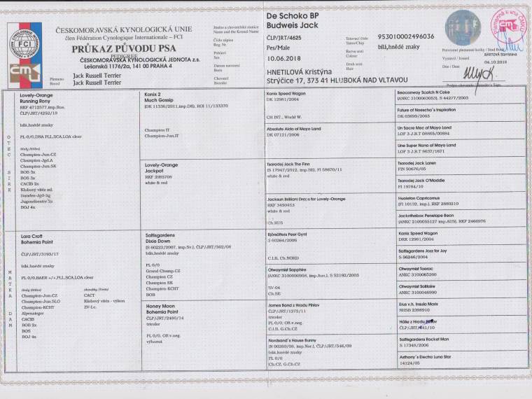 De Schoko BP Budweis Jack