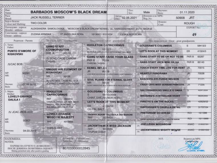 Barbados Moscow's Black Dream