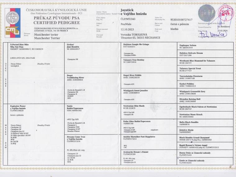 Joystick z Vejřího hnízda