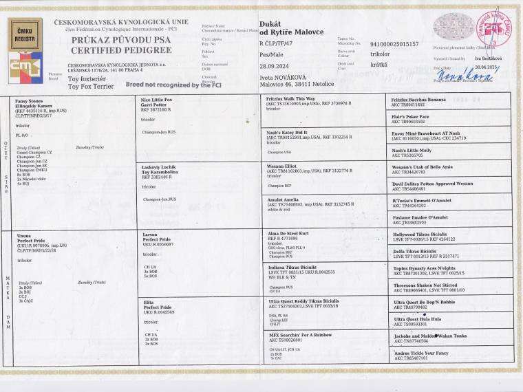 Dukát od Rytíře Malovce