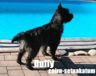 Duffy Cairn-Setuakatum