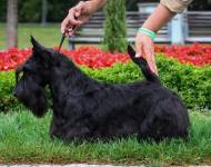 Adelleida Awa Leukaristo