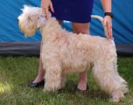 Chester z Tržiště