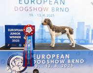 Bellakeo Do Jardim Imbui