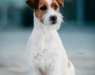 Brownie Katrin Space