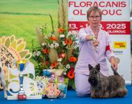 Keep going up Rarita Bohemia La-Da