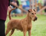 Love z Hodějovských strání