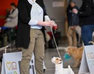 Nutella Kutcher - Chan